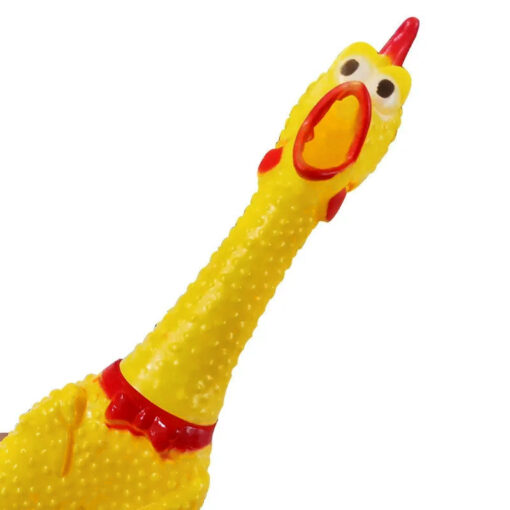 Screaming chicken toy